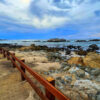 Bird Rock - Fine Art Print, Giclée, Unframed, 8x6 in or 12x9 in