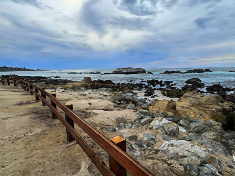 Bird Rock