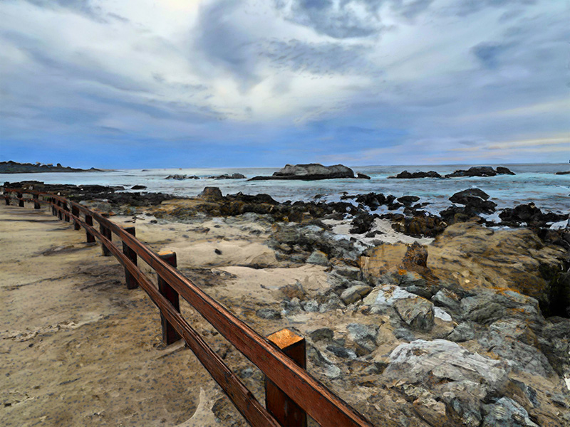 Bird Rock
