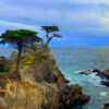 The Lone Cypress – Fine Art Print, Giclée, Unframed, 8×6 in or 12×9 in