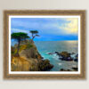The Lone Cypress - Fine Art Print, Giclée, Unframed, 8x6 in or 12x9 in