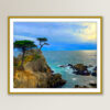 The Lone Cypress - Fine Art Print, Giclée, Unframed, 8x6 in or 12x9 in